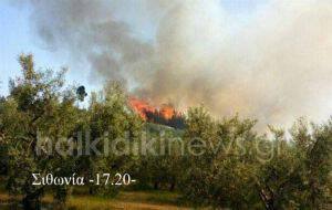 Μεγάλη πυρκαγιά στη Σιθωνία Χαλκιδικής (pics)